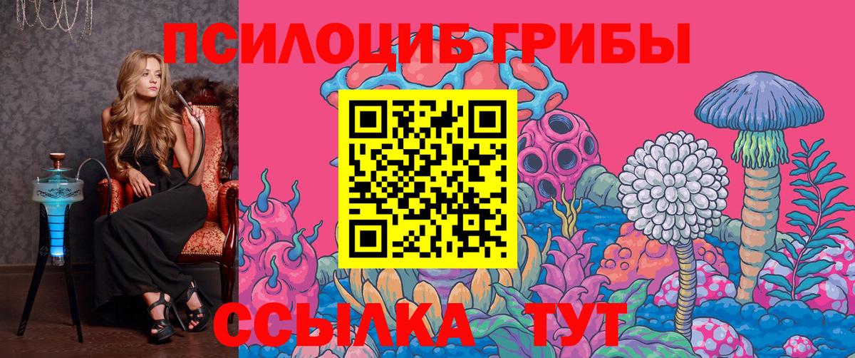 Галлюциногенные грибы мицелий Саянск
